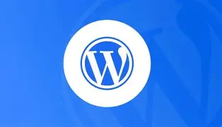 wordpress自动重命名上传文件的文件名
