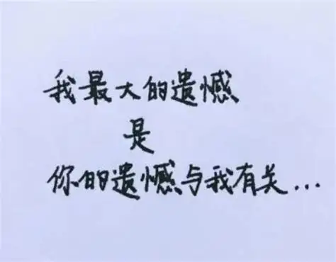 大圆哥最新一期的视频评价